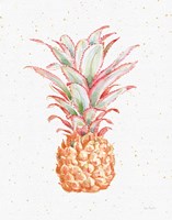 Gracefully Blush Pineapple XII Framed Print