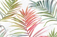 Tropical Blush IV Fine Art Print