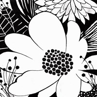 Feeling Groovy II Black and White Framed Print