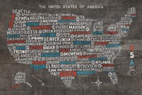 US City Map on Wood Gray Fine Art Print