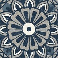 Inspired India Blue IV Fine Art Print