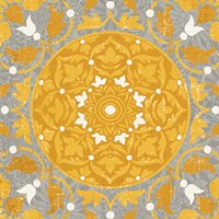 Inspired India Yellow III Fine Art Print