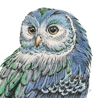 Beautiful Owls I Peacock Crop Fine Art Print