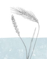 Wheat Fine Art Print