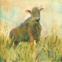 The Grazer Fine Art Print
