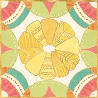 Citrus Splash IX Framed Print