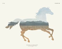 American Southwest Horse Framed Print