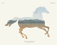 American Southwest Horse Fine Art Print