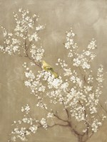 White Cherry Blossom II Neutral Crop Bird Fine Art Print