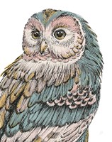 Beautiful Owls I Pastel Fine Art Print