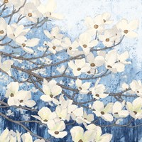 Dogwood Blossoms II Indigo Fine Art Print