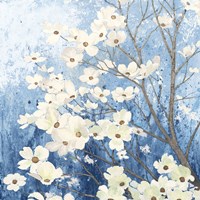 Dogwood Blossoms I Indigo Fine Art Print