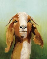 Got Your Goat v2 Fine Art Print