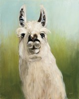 Whos Your Llama I Fine Art Print