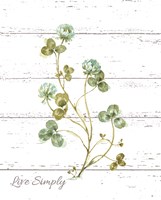 My Greenhouse Clover Live Simply Fine Art Print