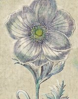 Belle Fleur II Crop Linen Framed Print