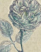 Belle Fleur III Crop Linen Fine Art Print