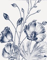 Botanical Beauty Chalk IX Blue on White Crop Fine Art Print