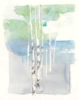Aspens I Fine Art Print