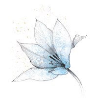 Blue Graphite Flower IX Fine Art Print