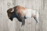 Colorful Bison Dark Brown on Wood Fine Art Print