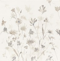 Garden Shadows II Fine Art Print