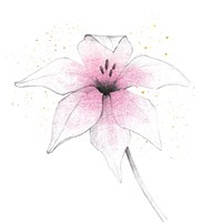Pink Graphite Flower V Fine Art Print