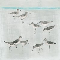 Sandpipers Gray Fine Art Print