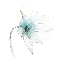 Teal Graphite Flower VIII Fine Art Print