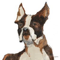 Ulysses Watercolor Framed Print