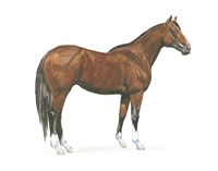 Natural Charm I Fine Art Print