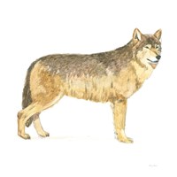 Natural Majesty IV Fine Art Print