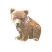 Into the Woods Bear Cub Fine Art Print