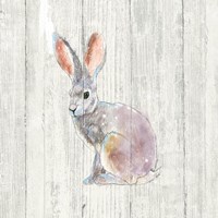 Into the Woods I no Border on Barn Board Framed Print