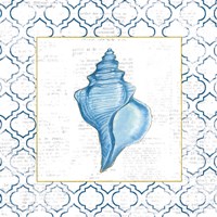 Navy Conch Shell on Newsprint with Gold Fine Art Print