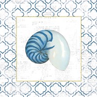 Navy Nautilus Shell on Newsprint with Gold Fine Art Print