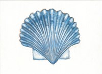 Navy Scallop Shell Fine Art Print