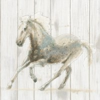 Stallion II on Birch Fine Art Print