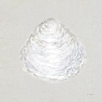 Serene Shells I Tan Fine Art Print