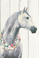Spirit Stallion I on wood Fine Art Print