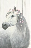 Spirit Stallion II on Wood no Lace Fine Art Print