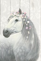 Spirit Stallion II on wood Fine Art Print