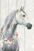 Spirit Stallion I on wood Fine Art Print