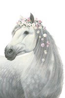 Spirit Stallion II Fine Art Print