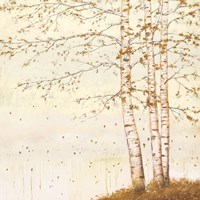 Golden Birch II Off White Fine Art Print
