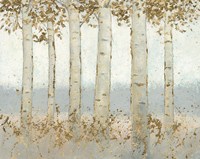 Magnificent Birch Grove Fine Art Print