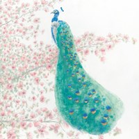 Spring Peacock II Bird Fine Art Print