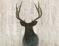 Into the Forest Birch Fine Art Print