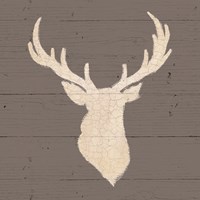 Rustic Elegance I on Gray Wood Fine Art Print