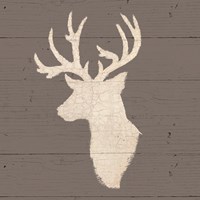 Rustic Elegance II on Gray Wood Fine Art Print